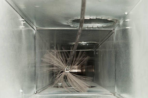 Air Duct Mold Removal in Eden Isle, LA